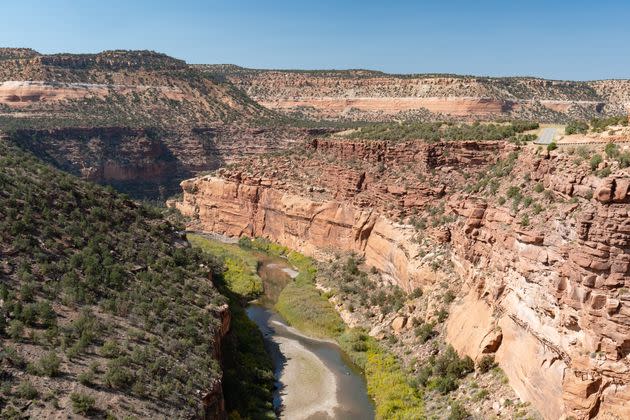 A coalition of environmental groups has petitioned the White House to establish a national monument along the Dolores River.