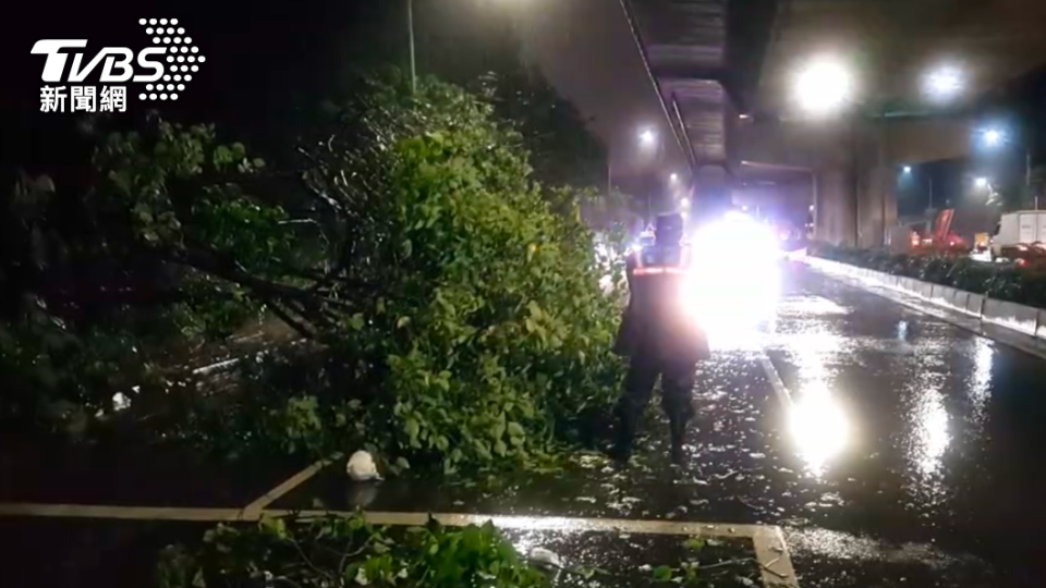 路樹不敵大雨倒塌。（圖／高雄市林園分局）