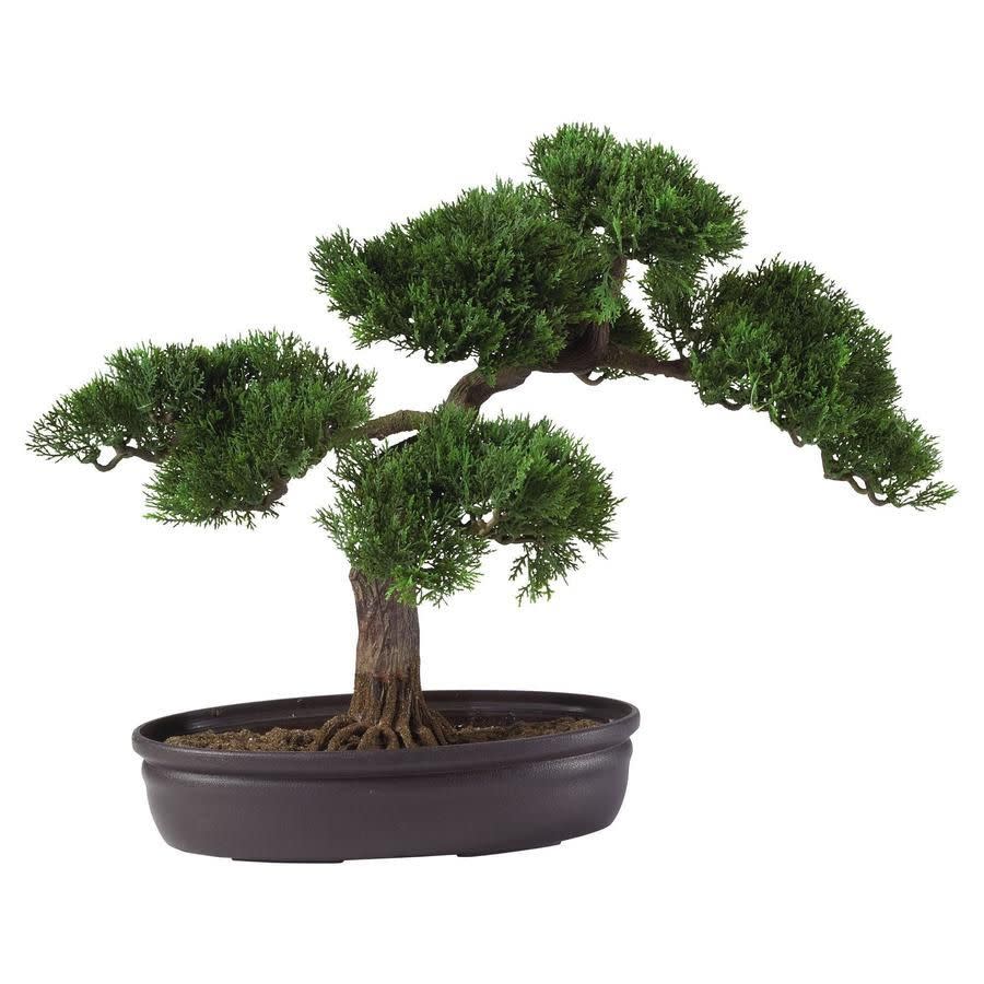 Cedar Bonsai 16" Silk Plant