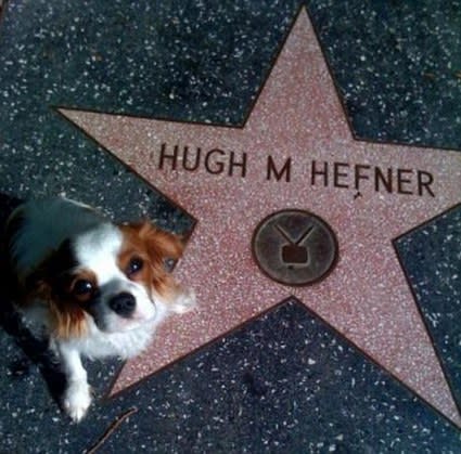 hugh hefner's dog charlie