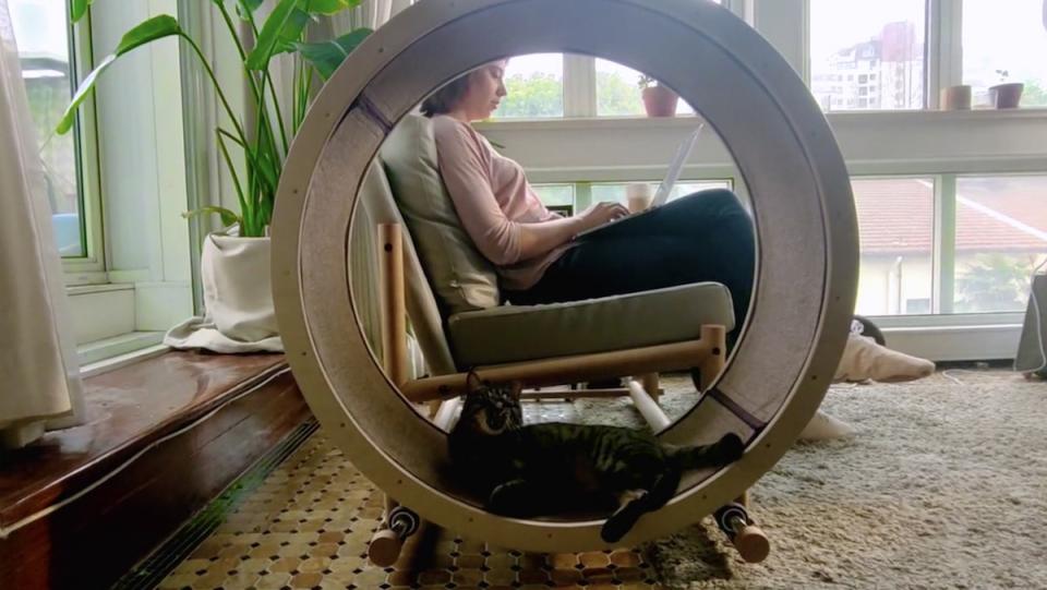 A cat lying down inside an oversized exercise wheel next to a woman sitting in a chair reading near a window