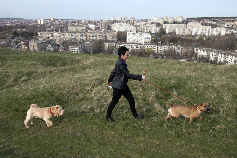 A woman walks her dogs on a hill in Simferopol, Crimea, Tuesday, March 25, 2014. Thousands of Ukrainian troops have began withdrawing from the Crimean Peninsula.(AP Photo/Pavel Golovkin)