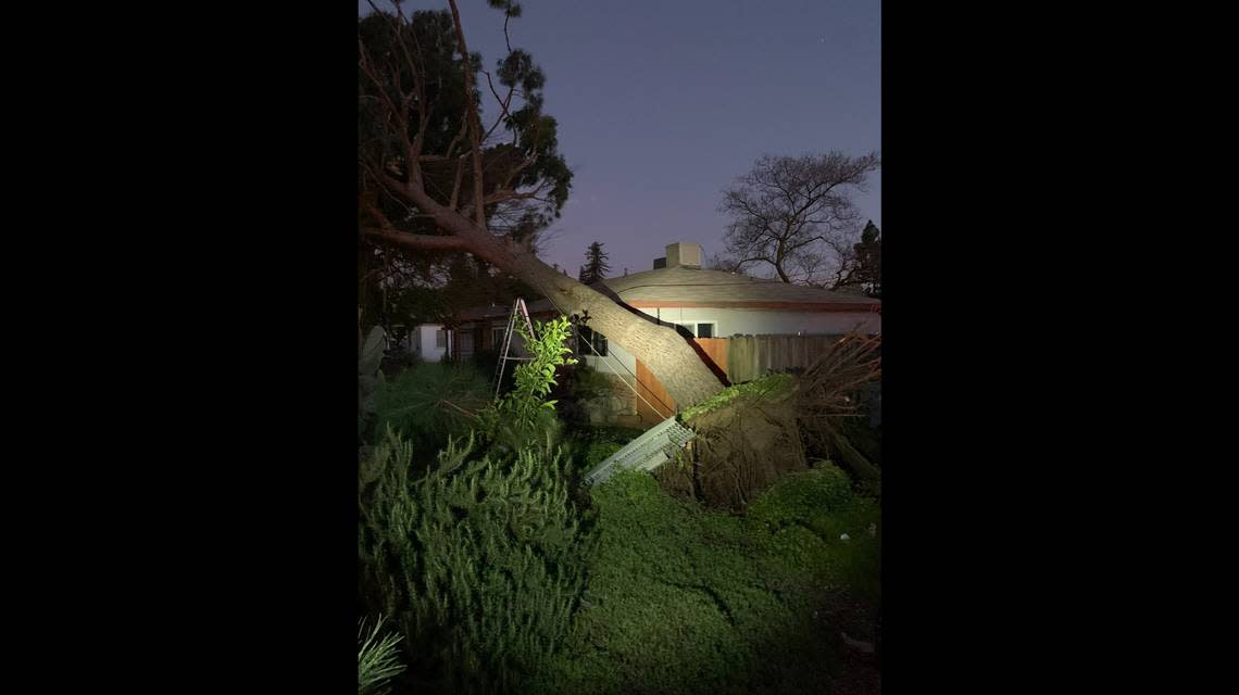 Gusty winds pushed over trees and caused power outages around Fresno and Clovis, including a tree seen here Tuesday, according to police on Feb. 22, 2023.