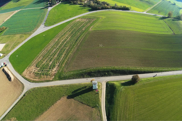 agriculture drone surveying