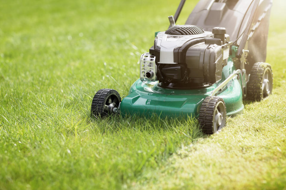 Mowing or cutting the long grass with a green lawn mower in the summer sun