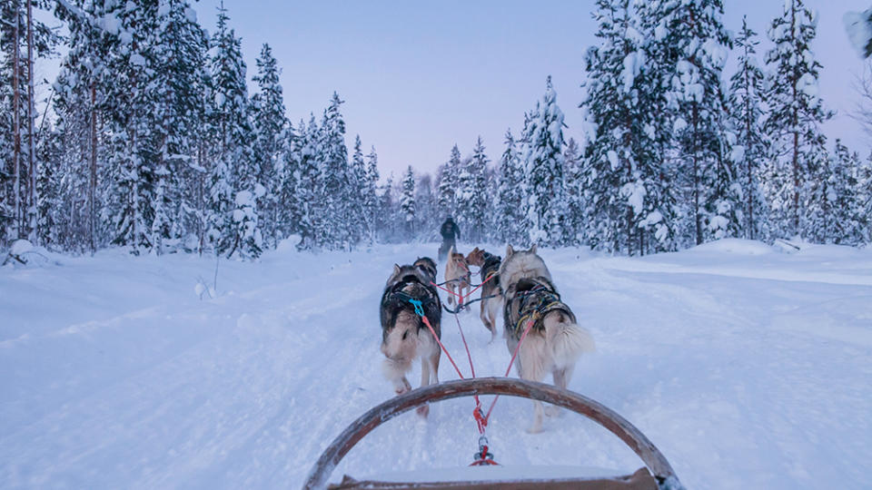 Dogsledding in Lapland with Abercrombie & Kent