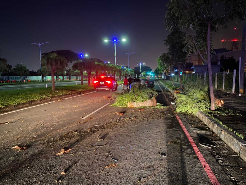 高雄中華五路人行道上的路樹被蕭男駕車猛撞後，攔腰折斷，現場一片狼籍。（圖／翻攝畫面）