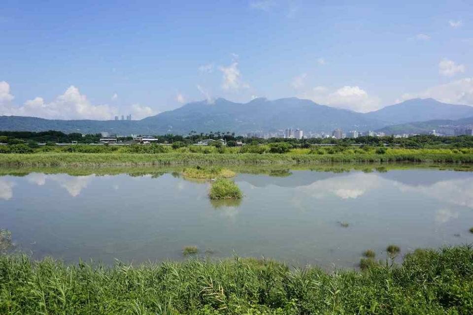 社子島濕地（圖片來源：台北市水利處）