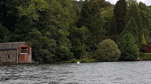 The shoreline before the trees were felled