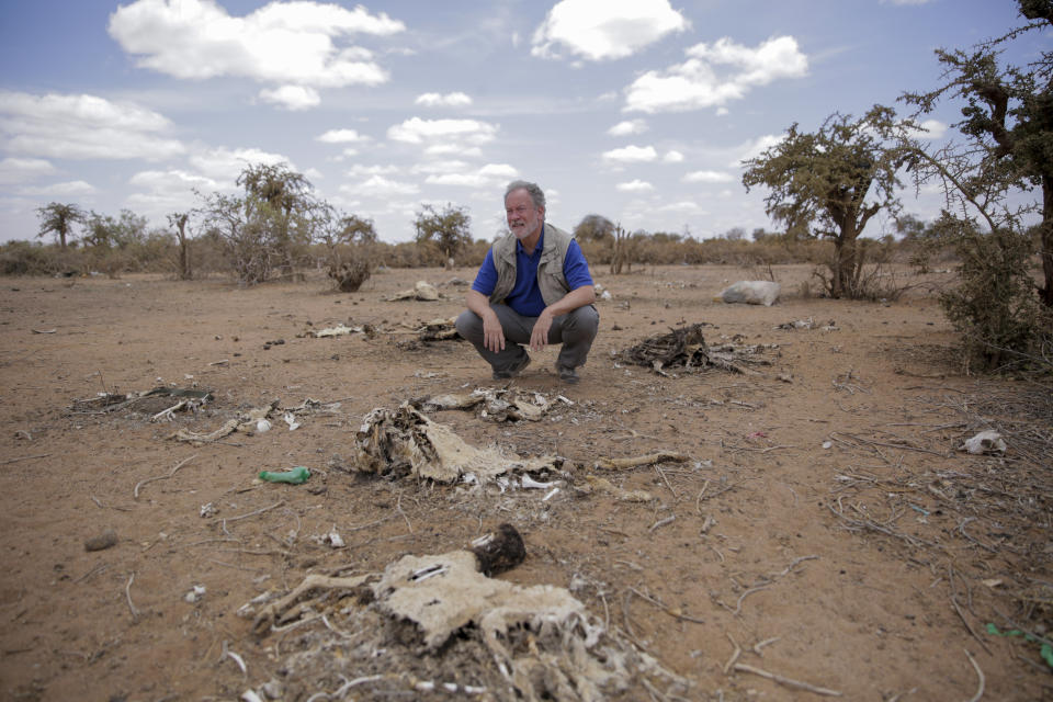 FILE - World Food Program chief David Beasley looks at carcasses of animals that died of hunger in the village of Wagalla in northern Kenya Friday, Aug. 19, 2022. Battling droughts, sandstorms, floods, wildfires, coastal erosion, cyclones and other weather events exacerbated by climate change, the African continent needs to adapt, but it needs funds to do so. It’s one of the main priorities for the African Group of Negotiators at the United Nations climate summit, known as COP27, currently underway in Egypt. (AP Photo/Brian Inganga, File)