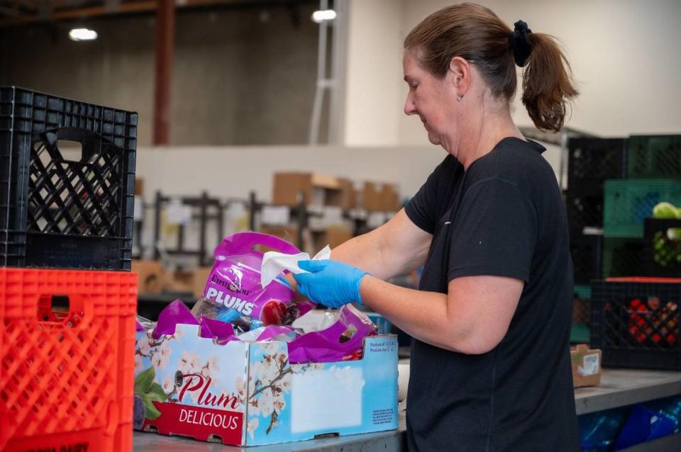 Elk Grove resident Jodie Butler organizes plums for distribution at Elk Grove Food Bank Services on Wednesday, July 24, 2024. Butler has volunteered for the food bank for over 18 months.