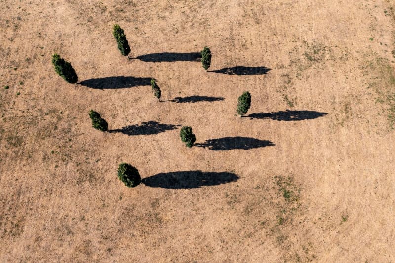 Eight oak trees cast their shadows on a dried-up meadow in Germany. EU countries are still a long way from the goal formulated in the Paris climate agreement of limiting global warming to 1.5 degrees Celsius. Jan Woitas/dpa