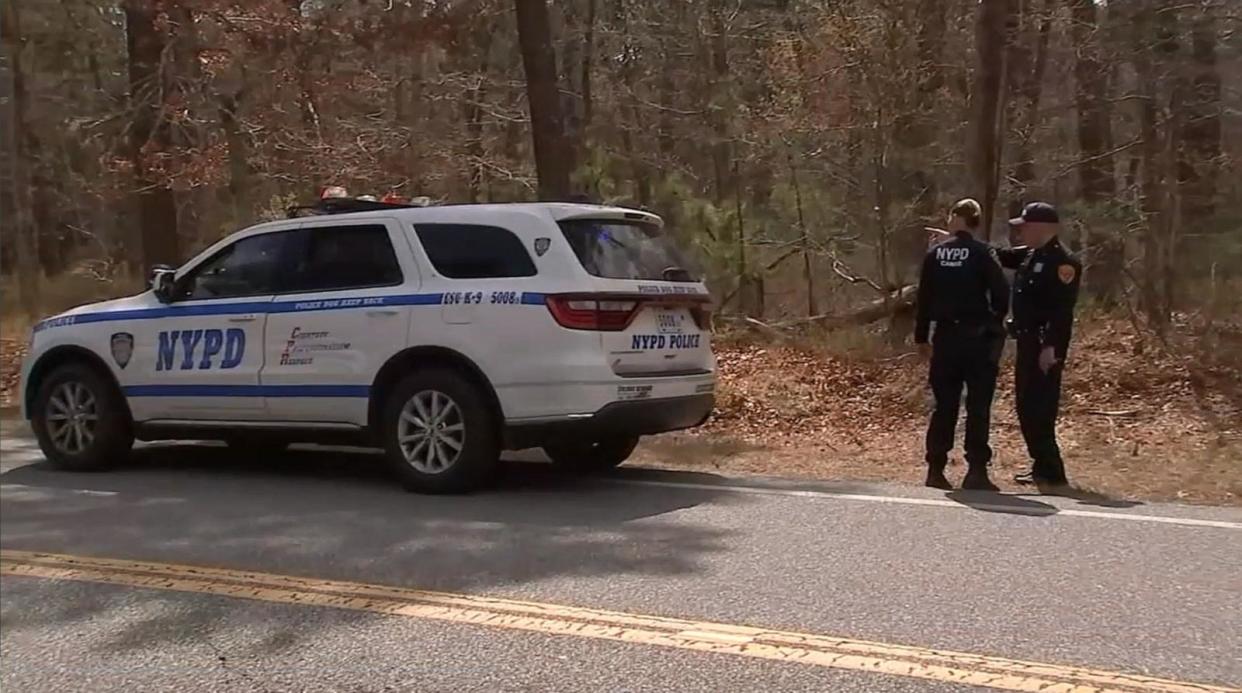 PHOTO: In this screen grab from video, investigators search a wooded area in Manorville, N.Y., on April 24, 2024, as part of the Gilgo Beach investigation. (WABC)