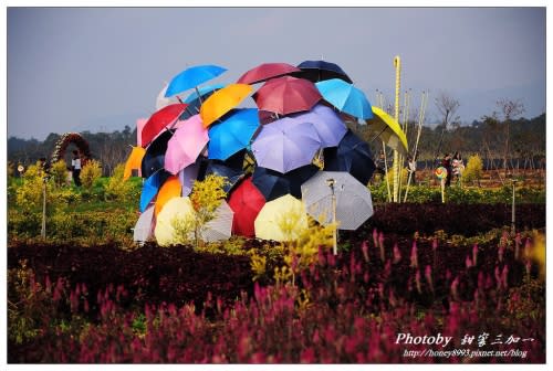 2013南投花卉嘉年華幸福登場