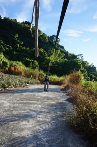 ▋台東旅遊▋ 熱氣球自由飛~~我真的在天空中飛了