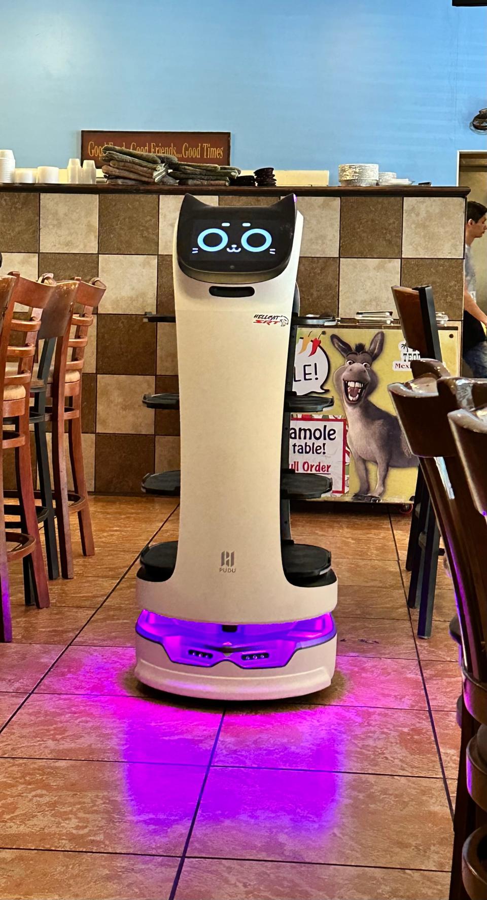 BellaBot, which is affectionately known as Bella, heads is on her way to greet a new customer at Canton's Don Tequila restaurant.