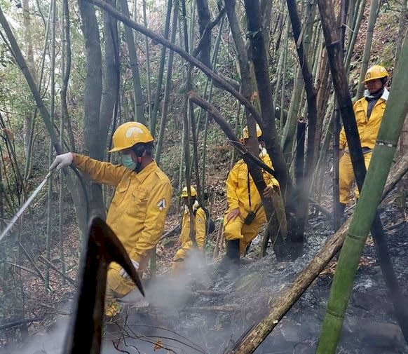 阿里山公路（台18線）69公里處附近下方，18日下午2時左右發生森林火災，22日搶救進入第5天，下午1時終於控制火勢，已延燒95小時，波及面積約1.6公頃。圖為森林護管員搶救情況。（嘉義林管處提供） (圖：中央社)