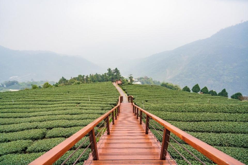 阿里山地區沿線均是旅遊景點。（記者湯朝村攝）