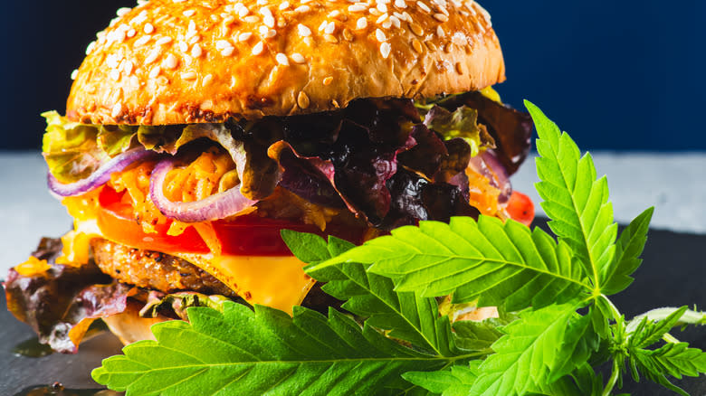 CBD hamburger, cannabis leaf