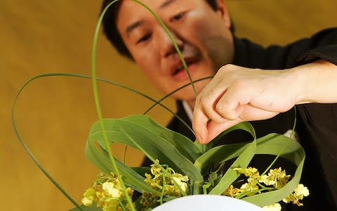 A Japanese flower arranging master at work - Credit: getty