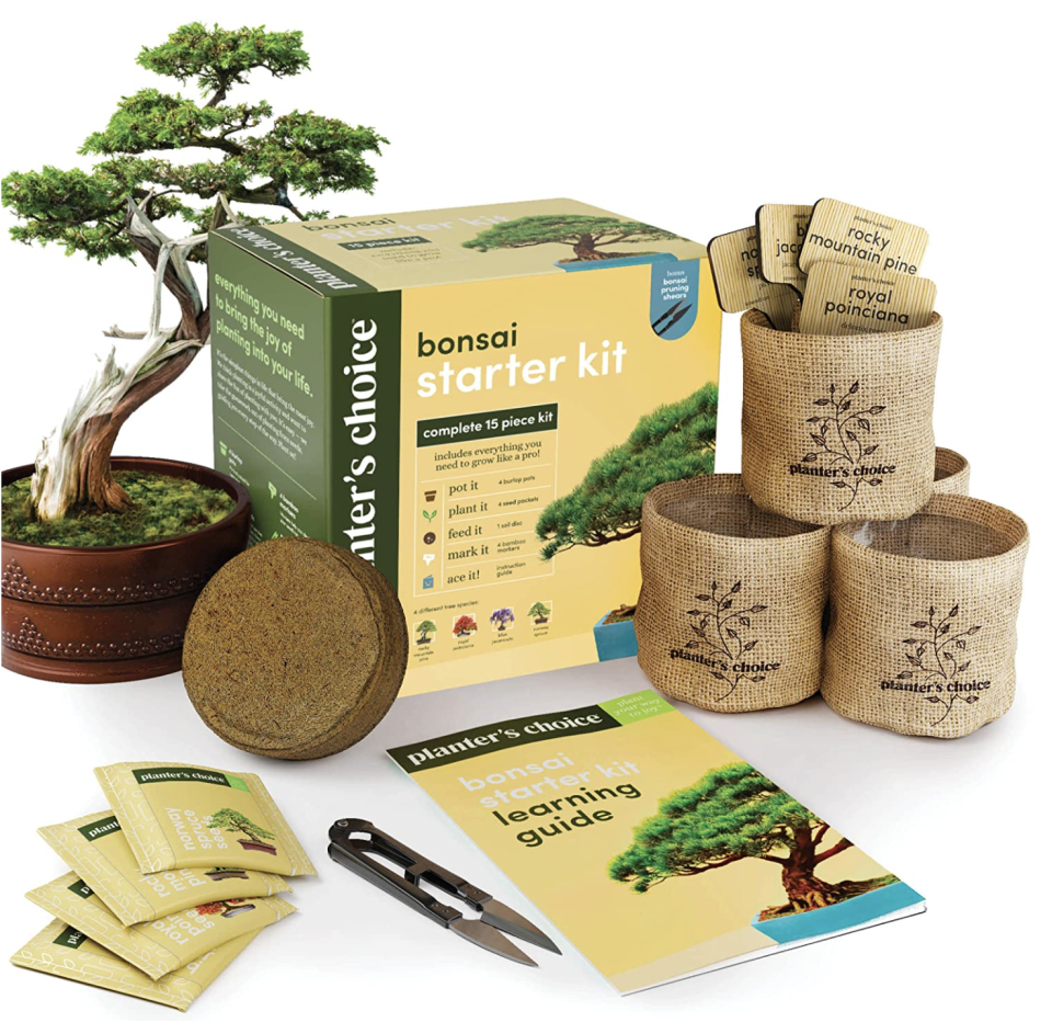 Planter's Choice Bonsai Starter Kit