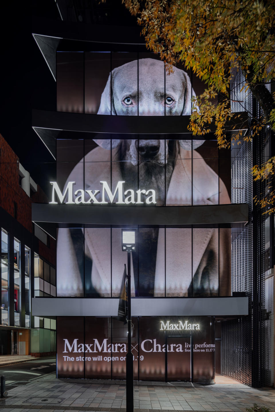 The new Max Mara store in Tokyo which will open on Saturday