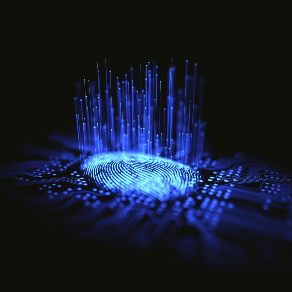 Digital fingerprint, conceptual computer illustration. Photo: Getty
