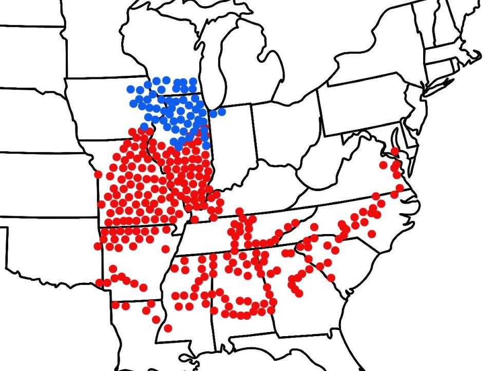 A cicada map of the US with blue dots in and around the states of Illinois and red dots primarily in the southern and upper Midwest region.