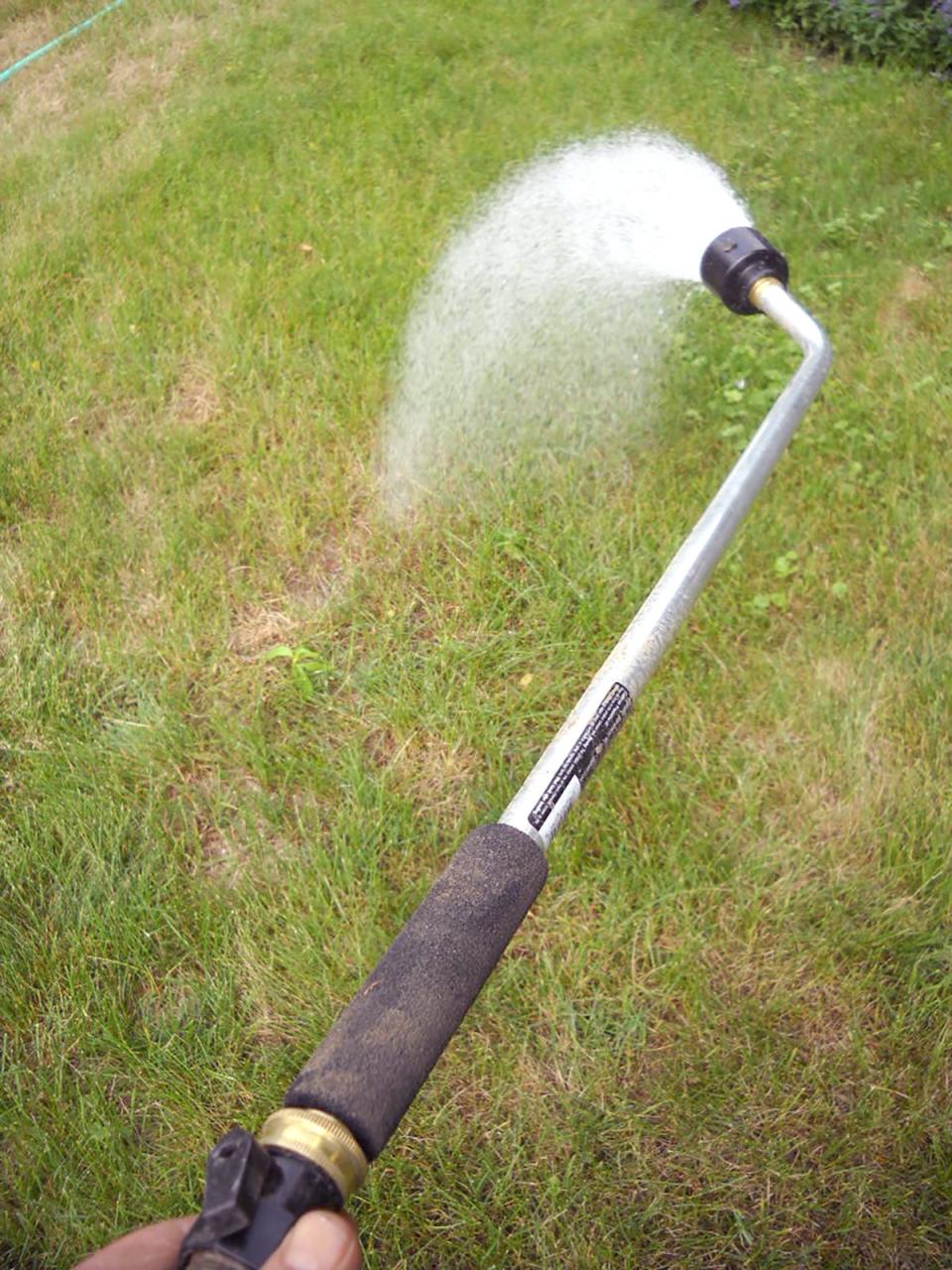 A watering wand can get lots of water just where you want it – and not where you don't.