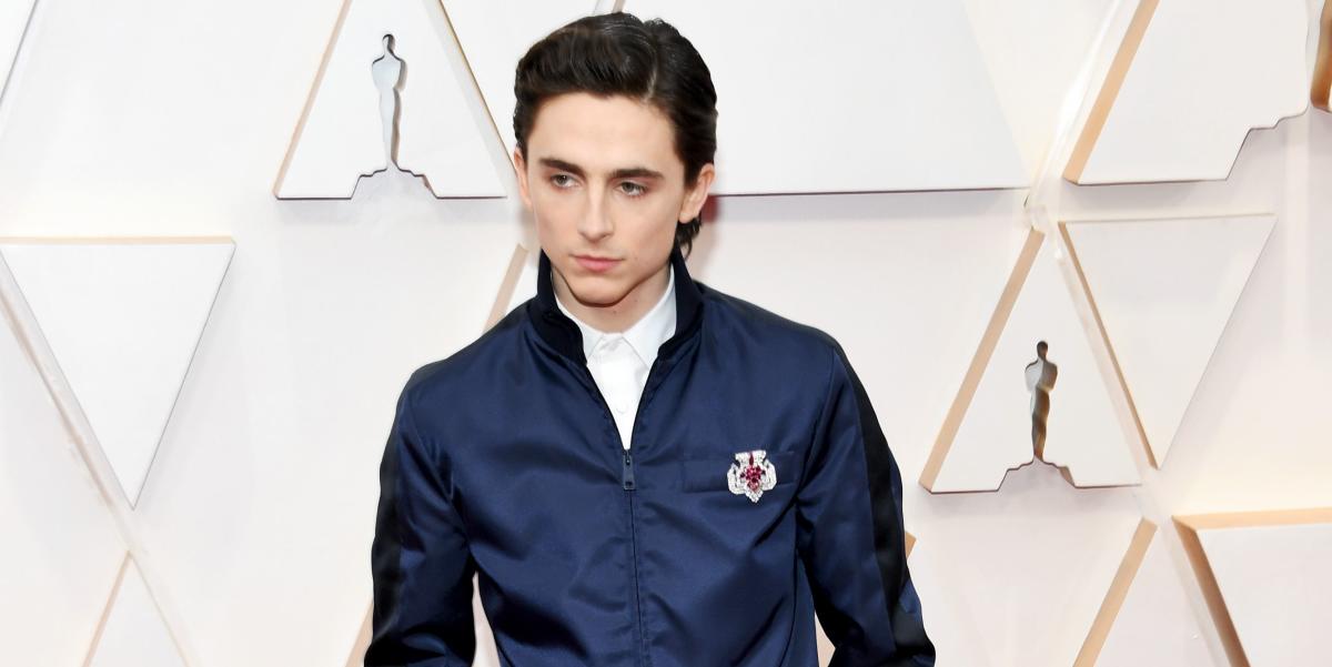 Twitter Thinks Timothée Chalamet Looks Like Anything But an Oscar-Nominated  Actor