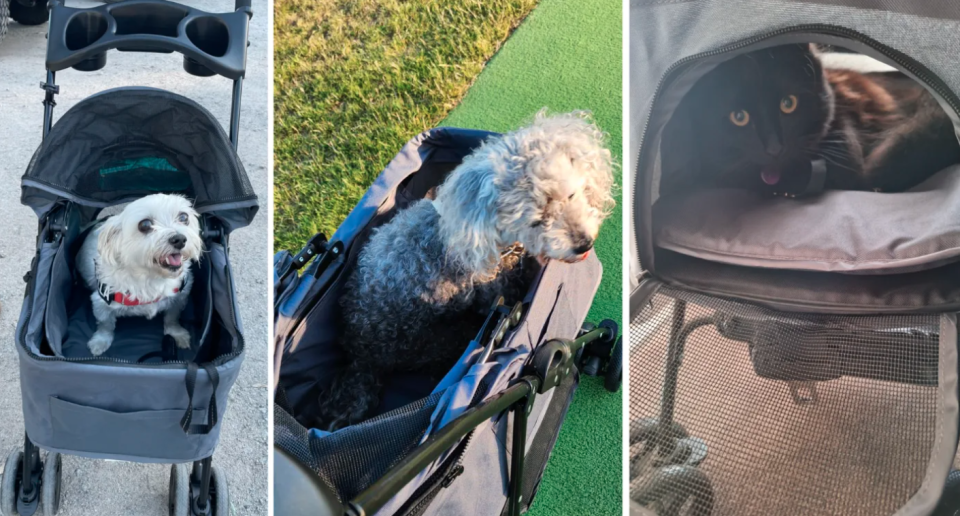 Kmart pet pram 