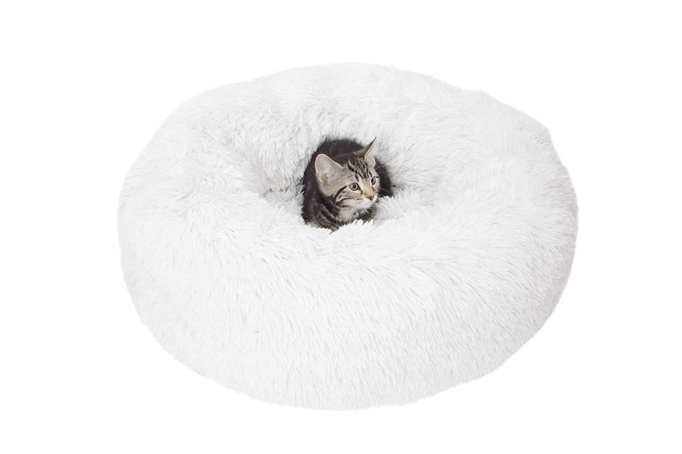 <p>Cats "jumped in and curled up" on this "giant cloud" of a bed as soon as owners set it down. </p> <p><strong>Buy it!</strong> Catit's Fluffy Cat Bed, $39.99; <a href="https://usa.catit.com/shop/fluffy-bed/" rel="nofollow noopener" target="_blank" data-ylk="slk:Usa.catit.com;elm:context_link;itc:0;sec:content-canvas" class="link ">Usa.catit.com</a></p> <p><strong>Expert tip:</strong> Don't fret if your pet doesn't take to a new product or toy instantly. "That's totally normal," Dr. Annie Valuska, a principal pet behavior scientist at Purina, says. "Many pets need multiple exposures to something before they begin to like it."</p>