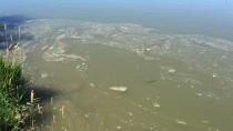 Prince Albert, Sask., declares state of emergency over oil spill