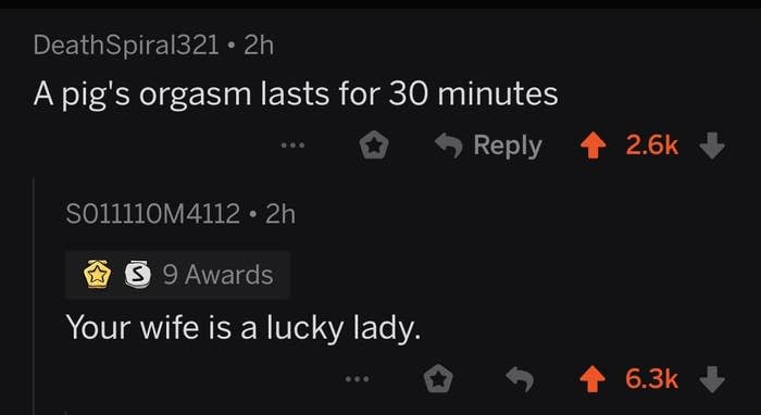 person saying a pig's orgasm lasts 30 min and someone responds your wife is a lucky lady