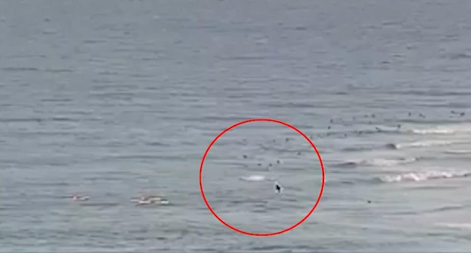 A Swellnet surf camera captured the attack at Greenmount Beach on camera.