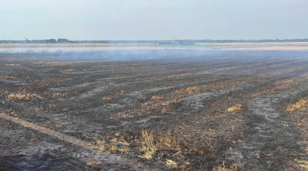 Smoke rises from a field in Rixton, Warrington, the scene of another fire. (Cheshire Fire and Rescue Service)
