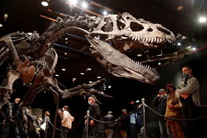 150 million-year old skeleton of an Allosaurus on auction