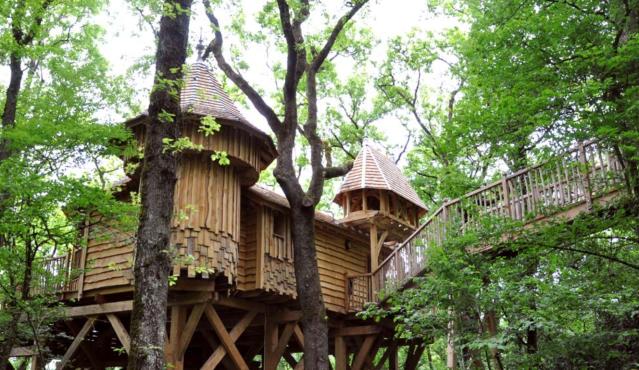 Estas casas del árbol garantizan unas vacaciones impresionantes en las  alturas