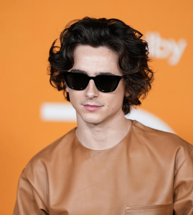 Timothée Chalamet has unique take on Bob Dylan's voice in new biopic