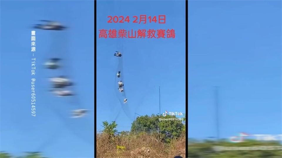 歹徒壽山軍事管制區內架網　賽鴿遭攔截！　恐面臨刑責