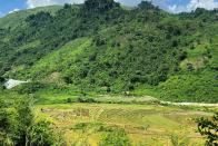 An undated photo shows rice paddies where rare earth processing factory is planned near Nam Xe mine in Lai Chau province