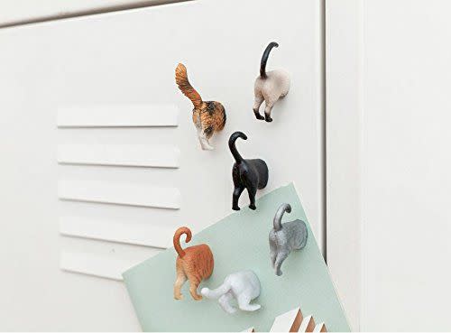 Cat Butt Magnets, Set of 6