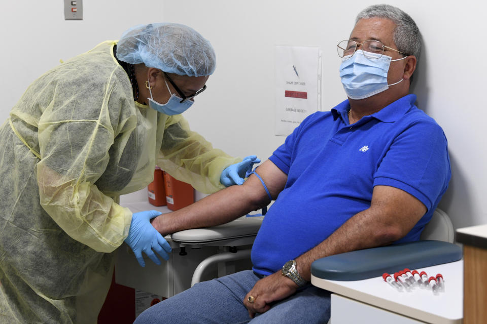 University of Miami Miller School of Medicine phlebotomist Mayra Fernandez prepares to take a blood sample from study participant Julio Li, Wednesday, Sept. 2, 2020, in Miami. Miami is one of 89 cities around the U.S. that's testing the Moderna COVID-19 vaccine. (AP Photo/Taimy Alvarez)