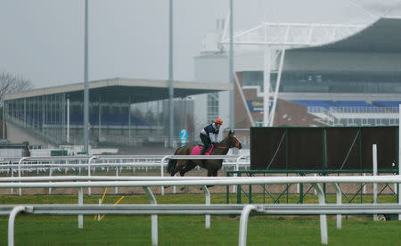 Horse Racing - Kempton Park - Kempton Park Racecourse, Sunbury-on-Thames, Surrey, Britain - February 8, 2019 General view of a horse being ridden at the racecourse after the meeting is cancelled following the confirmed outbreak of equine flu Action Images via Reuters/John Sibley