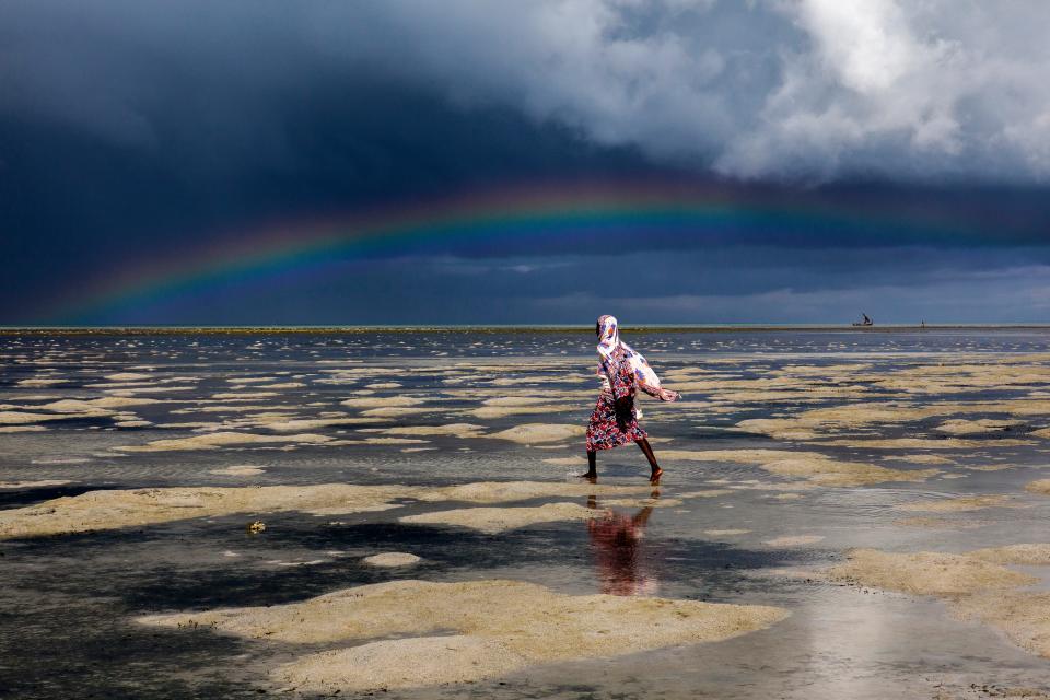 "A number of years ago, I was in Zanzibar working on a story about a program that teaches women how to farm shellfish as a sustainable source of protein for them and their families. As Ikiwa, started her long walk across the flats, this exquisite rainbow arced above her."