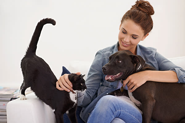 Tener mascotas nos ayudaría a tener vidas más saludables. Foto: PeopleImages / Getty Images.