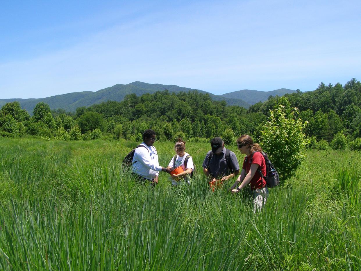 Thomas Powers and a group of National Park Service interns sample for nematodes in the Cades Cove area of Great Smoky Mountains National Park.