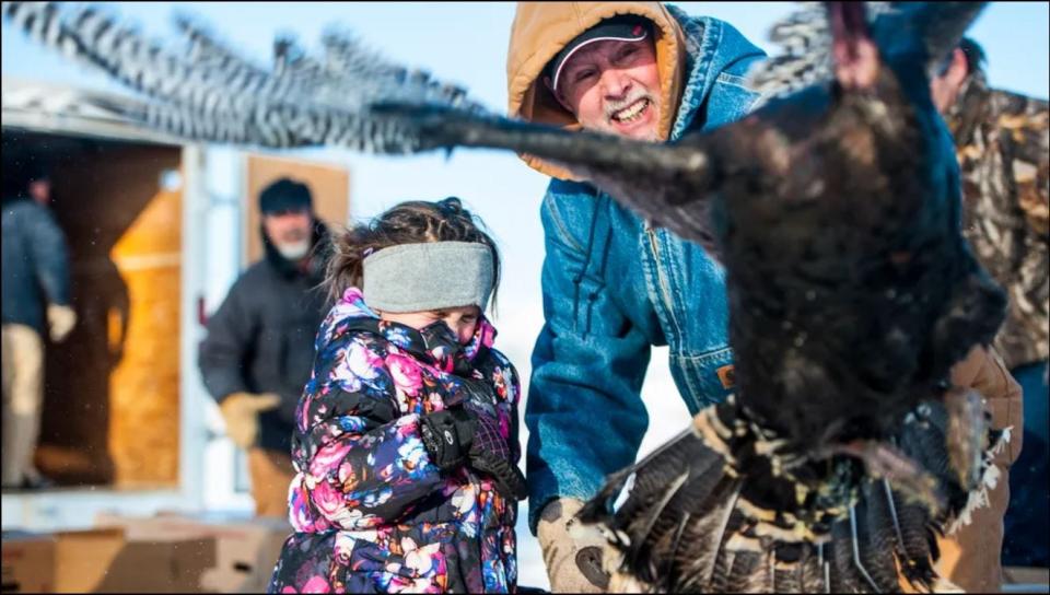 Kaylee Hammond, 4, squeals as she and Rick Vukasin release a wild turkey from its box during a transfer organized by Montana Fish, Wildlife and Parks in 2016