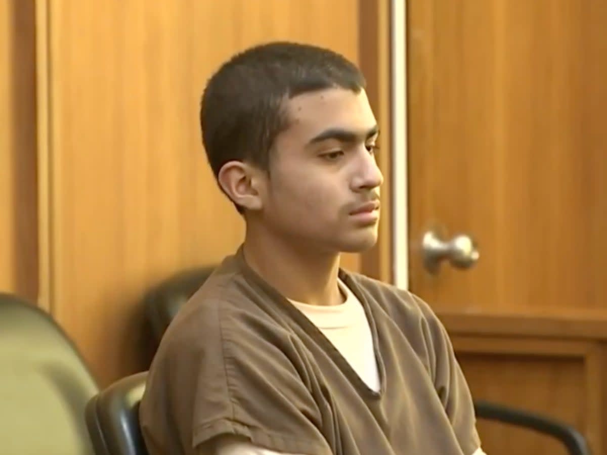 Derek Rosa, 13, charged in mother’s stabbing death (WPLG screengrab )