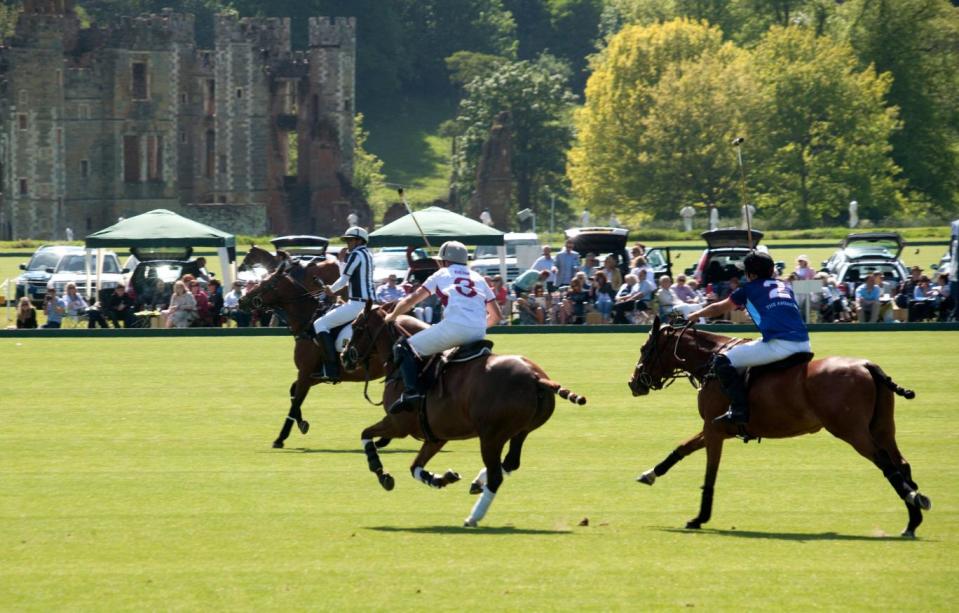 Polo match at Cowdray Park (Alamy Stock Photo)